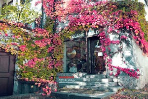 热那亚主场战平对手，难以扭转颓势