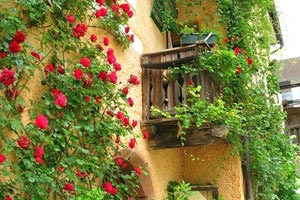 猛龙力克湖人！西亚卡姆关键时刻稳定发挥