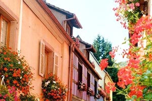 斯洛伐克女足遭遇挑战，无缘八强