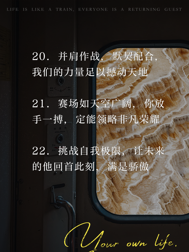 赛场上热血拼搏，球员们为荣誉而战的简单介绍